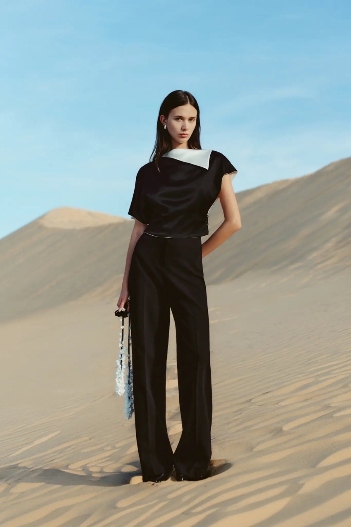 Elyn Wide-Leg Pants